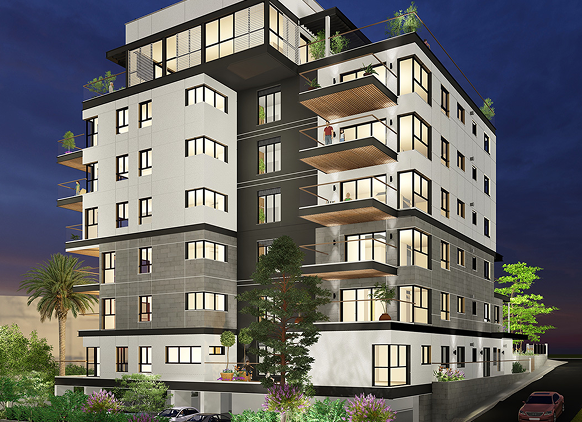 פרוייקט ויתקין